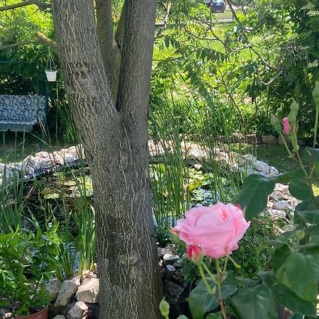 Lelle -Kert Apartman 03 Balatonlelle Dış mekan fotoğraf