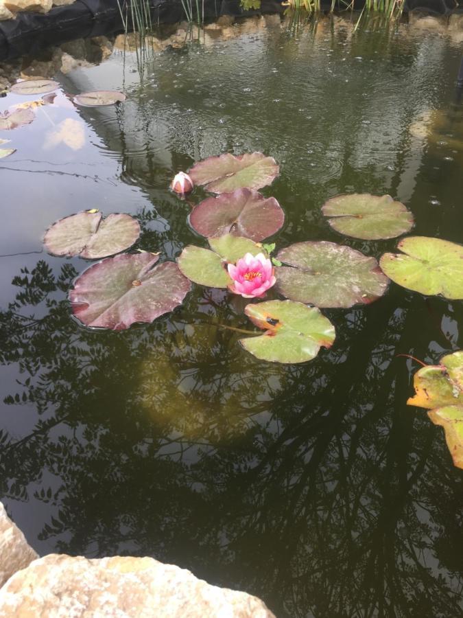 Lelle -Kert Apartman 03 Balatonlelle Dış mekan fotoğraf