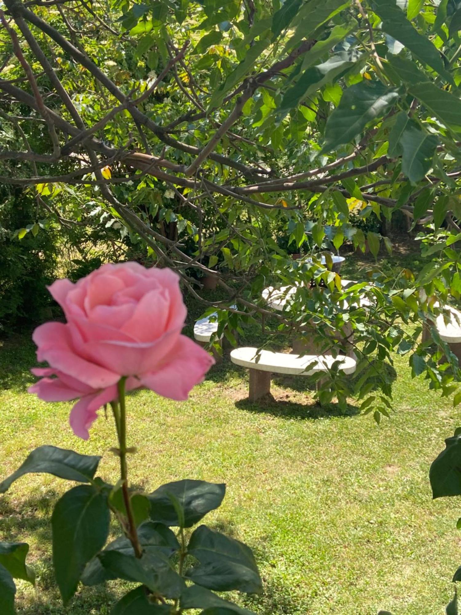 Lelle -Kert Apartman 03 Balatonlelle Dış mekan fotoğraf